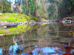 Crete-Rive-Fodele-Holidays