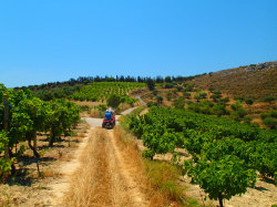 42Jeep safari and quad excursions on Crete42