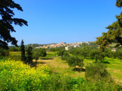 spring on crete