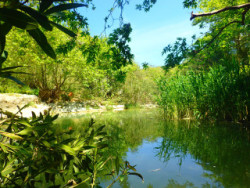 Nature on Crete