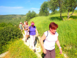 Walking on Crete in groups