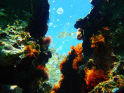 Snorkling on Crete Greece