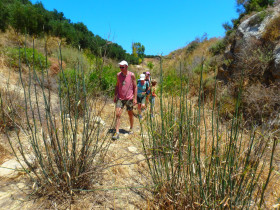Cooking courses and workshops excursions on Crete (64)