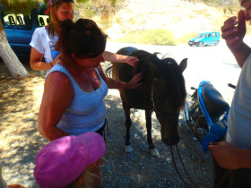 Cooking courses and workshops excursions on Crete (9)
