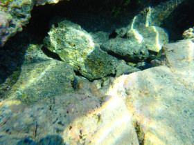 Snoreling on Crete Greece mediteranian sea (1)
