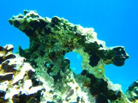 Snoreling on Crete Greece mediteranian sea (119)