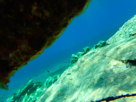 Snoreling on Crete Greece mediteranian sea (124)