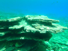 Snoreling on Crete Greece mediteranian sea (2)