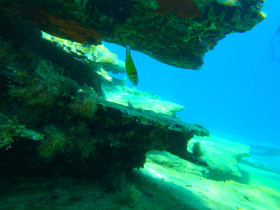 Snoreling on Crete Greece mediteranian sea (50)