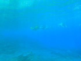 Snoreling on Crete Greece mediteranian sea (83)