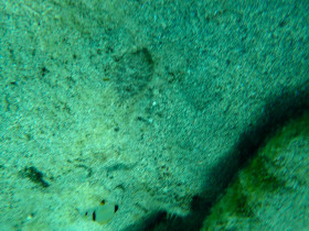 Snoreling on Crete Greece mediteranian sea (94)