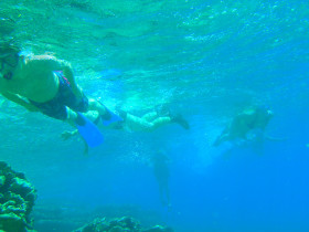 Snoreling on Crete Greece mediteranian sea (98)