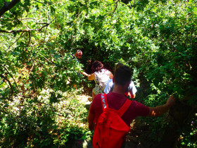 Walking and Hiking on Crete Greece (121)