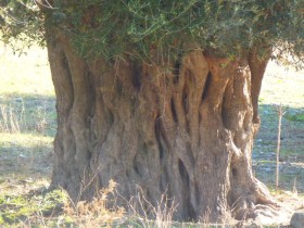 Walking and Hiking on Crete Greece (23)