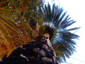 Walking and Hiking on Crete Greece (33)