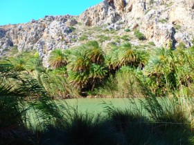 Walking and Hiking on Crete Greece (34)
