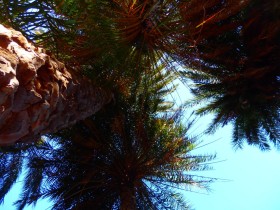 Walking and Hiking on Crete Greece (37)