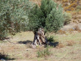 Walking and Hiking on Crete Greece (46)