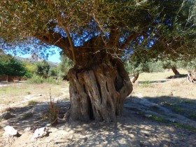 Walking and Hiking on Crete Greece (47)