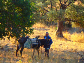 Walking and Hiking on Crete Greece (66)
