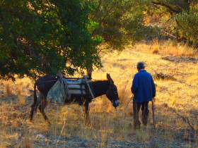 Walking and Hiking on Crete Greece (74)
