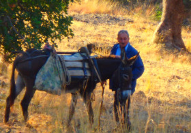 Walking and Hiking on Crete Greece (75)