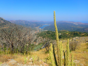 Walking and Hiking on Crete Greece (9)