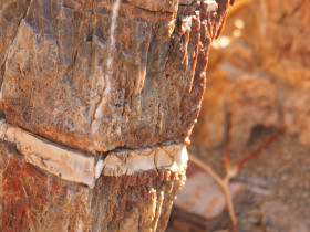 Walking and Hiking on Crete Greece (97)