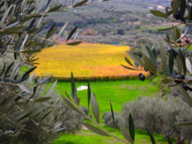 Amazing pictures on Crete