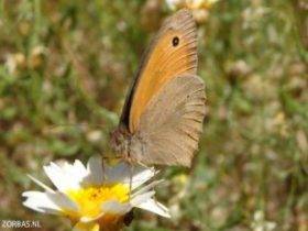 April holidays on Crete