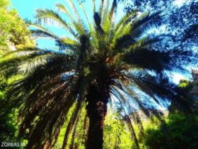 Walking on Crete