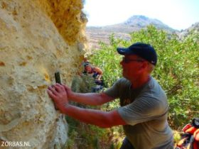 Fossiles on Crete