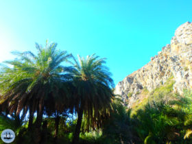 Holidays to Crete