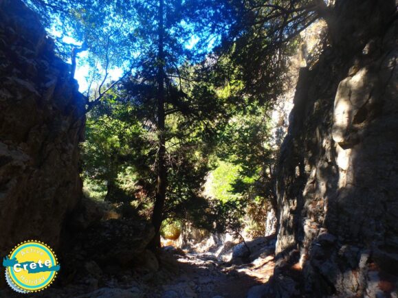 Summer Holiday on Crete 2017 00014