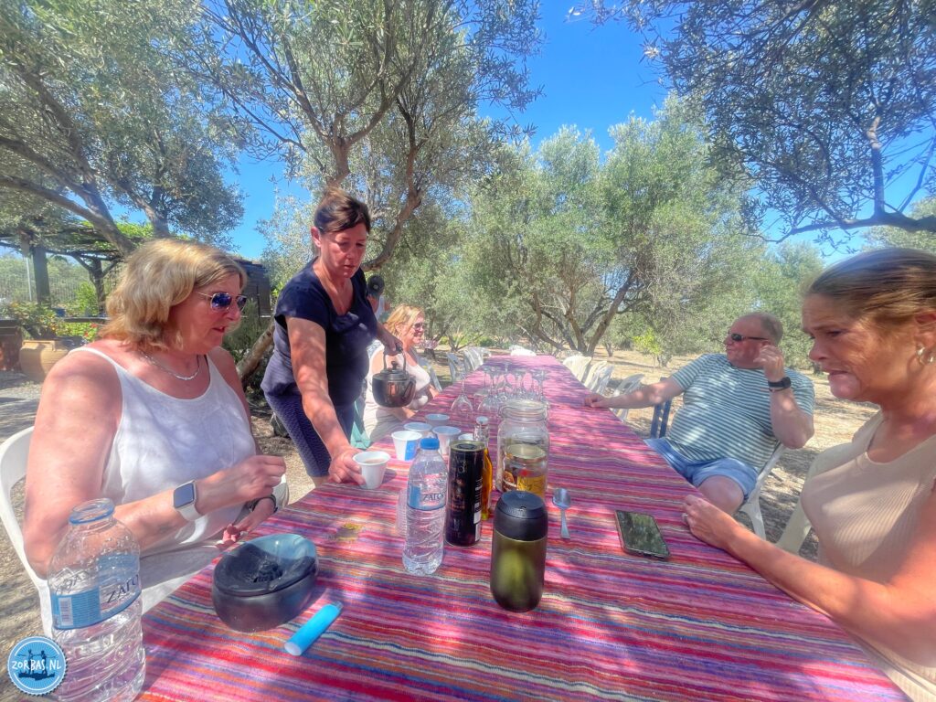 Cooking workshop in an olive field. Learn how to cook real cretan dishes in an inspiring environment.