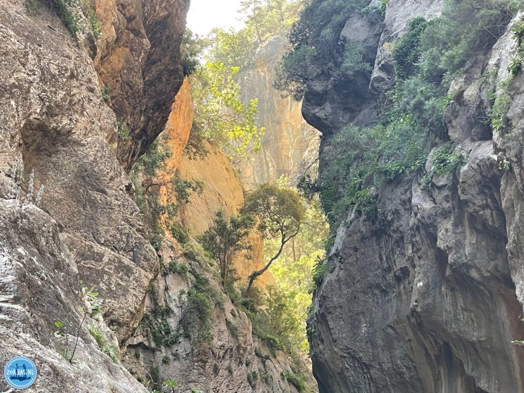 Go hiking with Zorbas Island through one of the beautiful gorges in Crete Greece