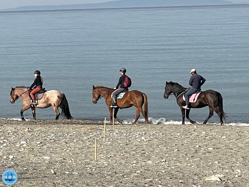 Horse riding is a nice way to see more of Crete. Book an excursion to go riding on the beach or through the fields.
