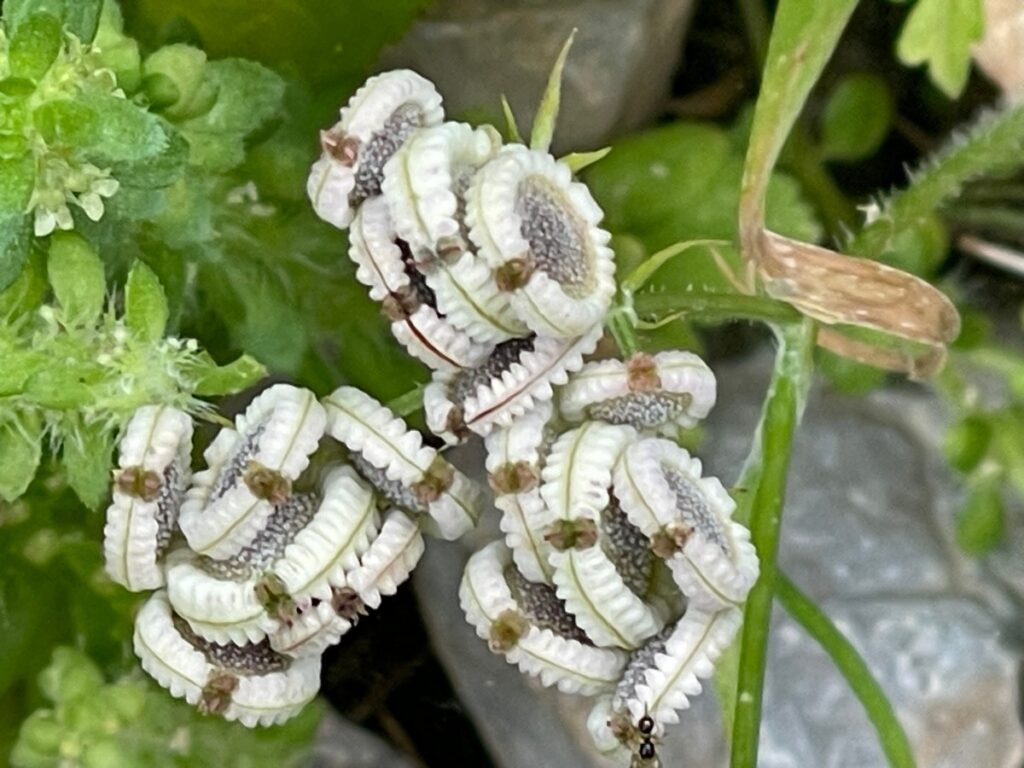 Do you want to spend the May holidays under the Greek sun? Spring is beautiful in Kokkini Hani, and we still have a few spots available for the coming months. 