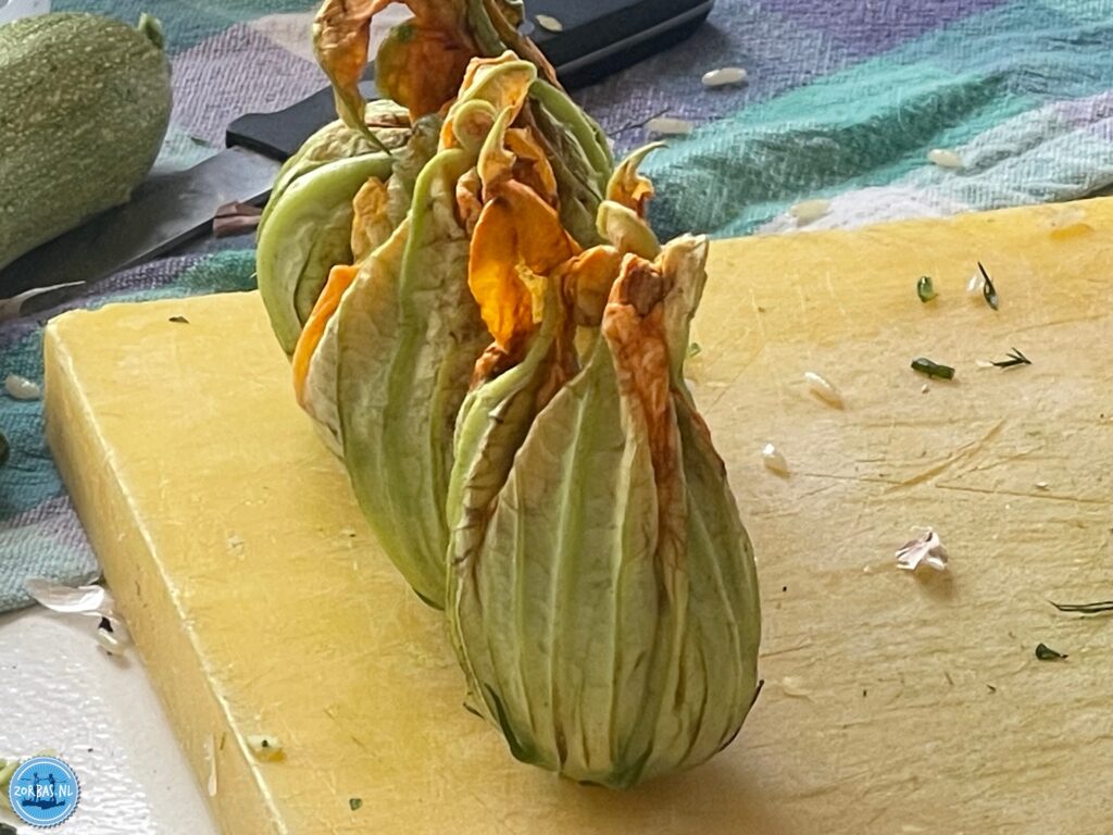 Learn Greek cooking, a nice holiday where you learn all the ins and outs of the Greek cuisine, culture and adventure on Crete