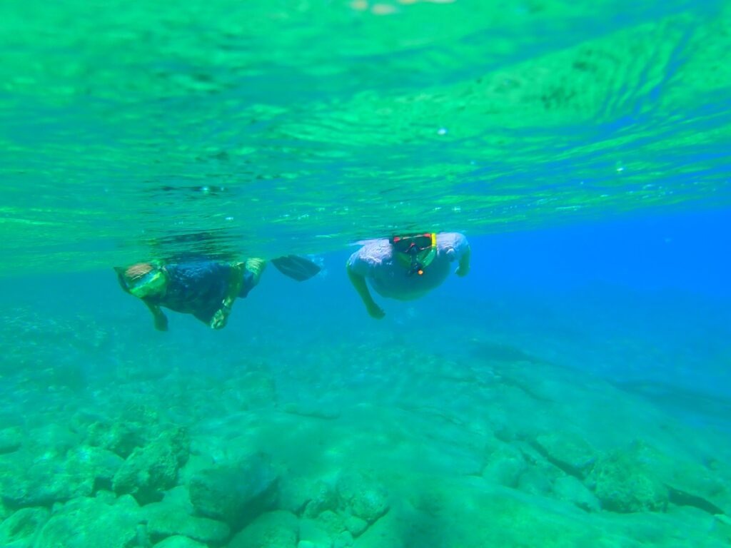 Snorkelling excursions: discover the underwater world of Crete