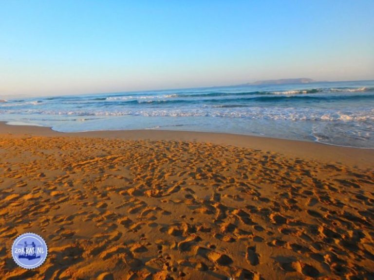 ll-in-one: Flight & Accommodation 2026: From now on, we'll take care of everything! 